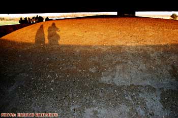 IMG_ (10988)